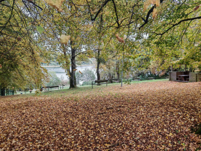 Dom na sprzedaż z garażem i dużą działką nad jeziorem – 55 m² powierzchni użytkowej, działka 532 m²