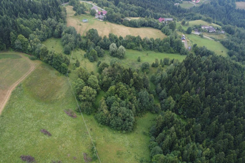 SYNDYK SPRZEDA UDZIAŁ 1/4 W NIERUCHOMOŚCI GRUNTOWEJ