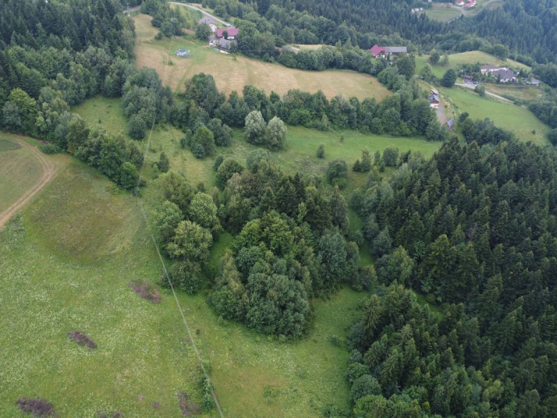 SYNDYK SPRZEDA UDZIAŁ 1/4 W NIERUCHOMOŚCI GRUNTOWEJ