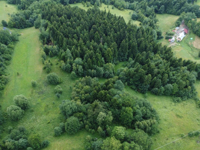 SYNDYK SPRZEDA UDZIAŁ 1/4 W NIERUCHOMOŚCI GRUNTOWEJ