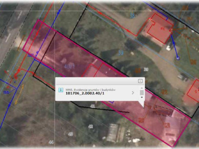 Syndyk sprzeda udział w domu z dużą działką