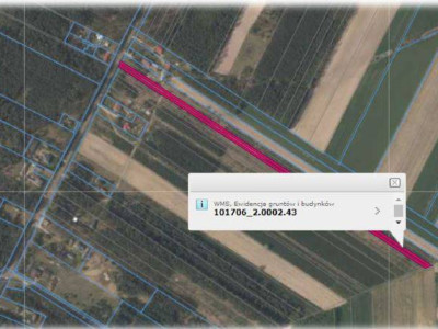 Syndyk sprzeda udział w domu z dużą działką