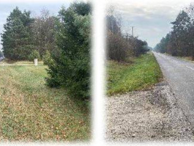 Syndyk sprzeda udział w domu z dużą działką