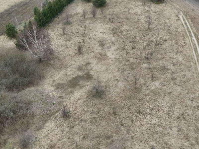 Działka budowlano-rolna Żabi Róg