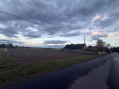 Dom z budynkami mieszkalnymi i dużą działką