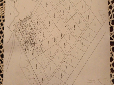 Działki budowlane pośród lasów