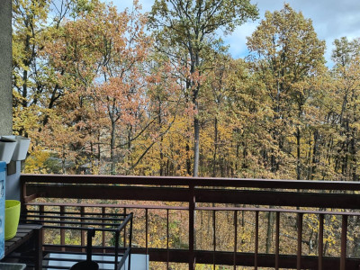 Przestronne 3 pokojowe mieszkanie