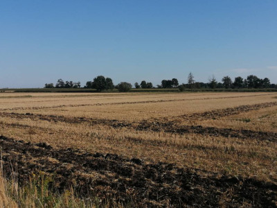 MIESZKANIÓWKA - 1184 m2 – gm. Żórawina, Bratowice