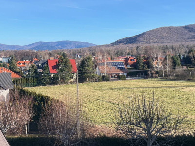 Działka w Jaworzu na zabudowę rezydencjonalną lub inwestycyjną dla dewelopera.