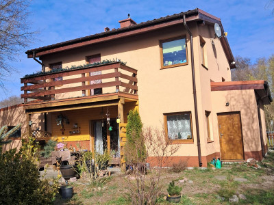 Dom pietrowy wolnostojacy