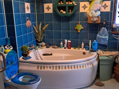 Dom pietrowy wolnostojacy