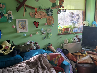 Dom pietrowy wolnostojacy