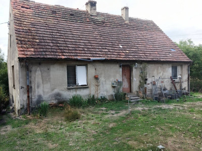 Dom w otoczeniu lasów i jezior