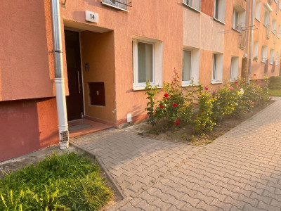 Mieszkanie dwupokojowe w Poznaniu na Dębcu