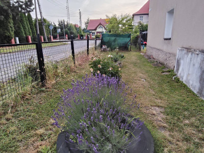 Mieszkanie 31m kwadratowych