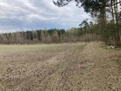 Działki budowlane przy lesie