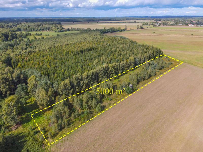 Działka Białogórzyno