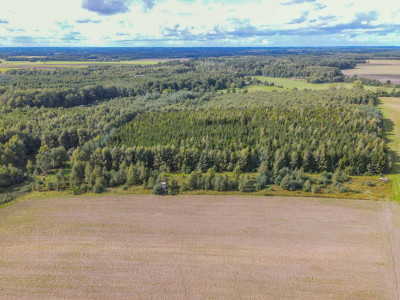 Działka Białogórzyno