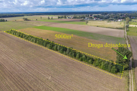 Działka rolna Białogórzyno