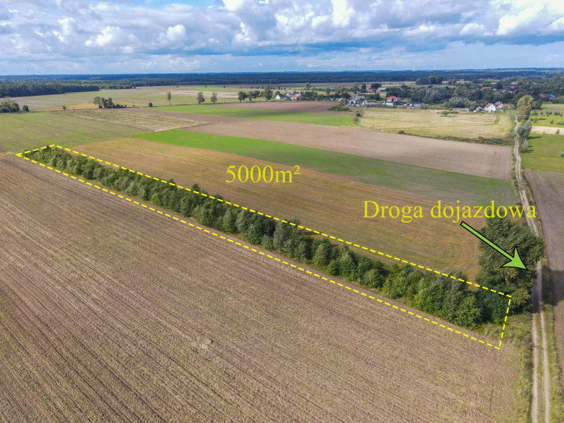 Działka rolna Białogórzyno