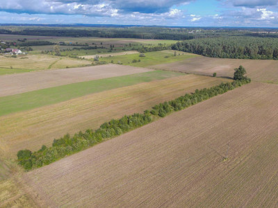 Działka rolna Białogórzyno