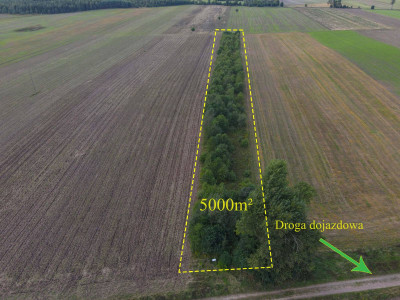 Działka rolna Białogórzyno