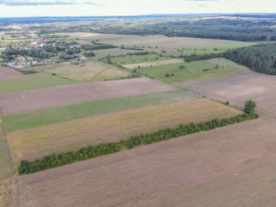 Działka rolna Białogórzyno