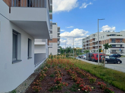 Apartament 45m²- BEZ PROWIZJI