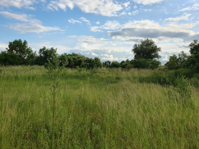 Ogrodzona działka budowlana Grobelno / Malbork, 2249 m2, warunki zabudowy