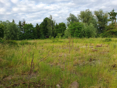 Ogrodzona działka budowlana Grobelno / Malbork, 2249 m2, warunki zabudowy