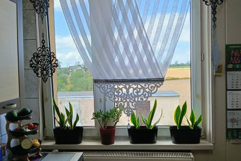 Mieszkanie bez czynszowe