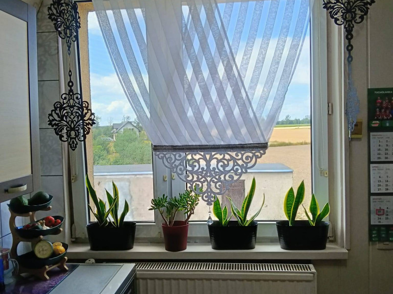 Mieszkanie bez czynszowe