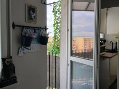 Kawalerka z balonem piękny widok na miasto