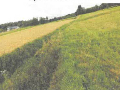 Syndyk sprzeda kompleks działek rolnych