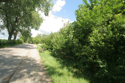 SYNDYK SPRZEDA UDZIAŁ 1/2 WNIERUCHOMOŚCI GRUNTOWEJ
