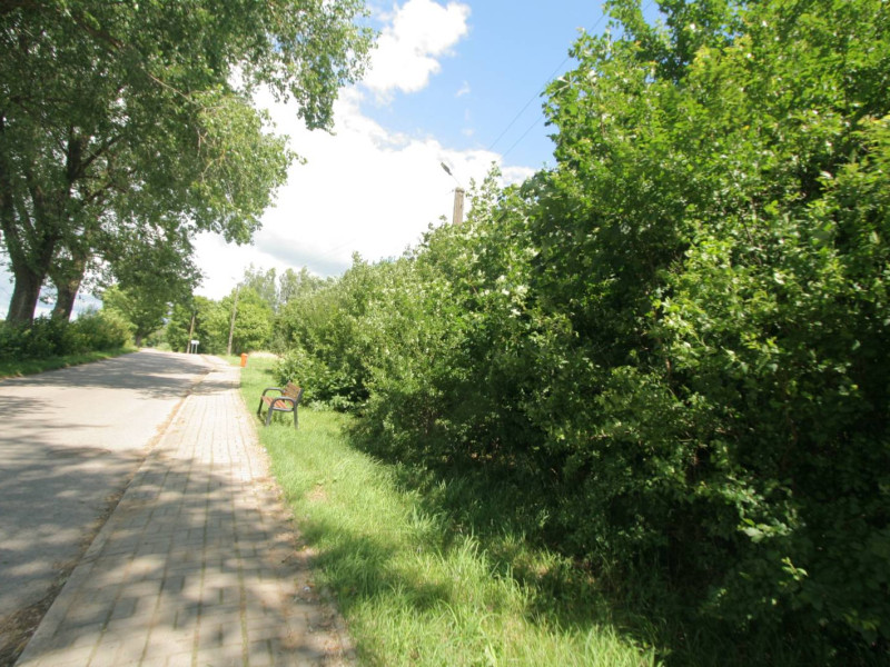 SYNDYK SPRZEDA UDZIAŁ 1/2 WNIERUCHOMOŚCI GRUNTOWEJ