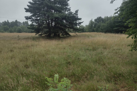 Działki..las,droga,media..Naturaa