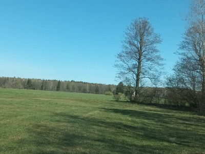 Sprzedam działki od 10 do 20 arów Czarnia 07-420 Kadzidło